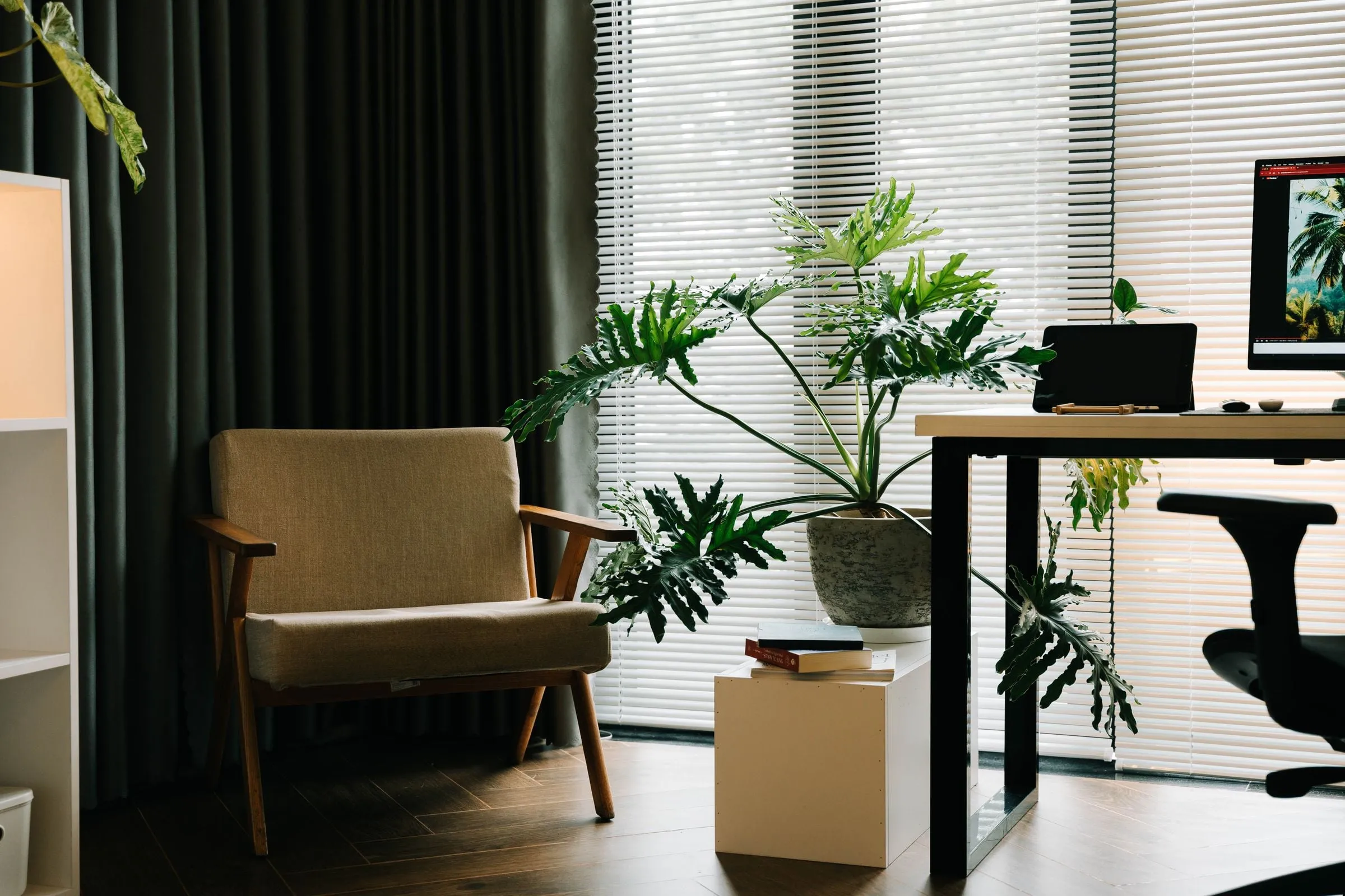 A lounge chair, plant and desk in a softly lit office