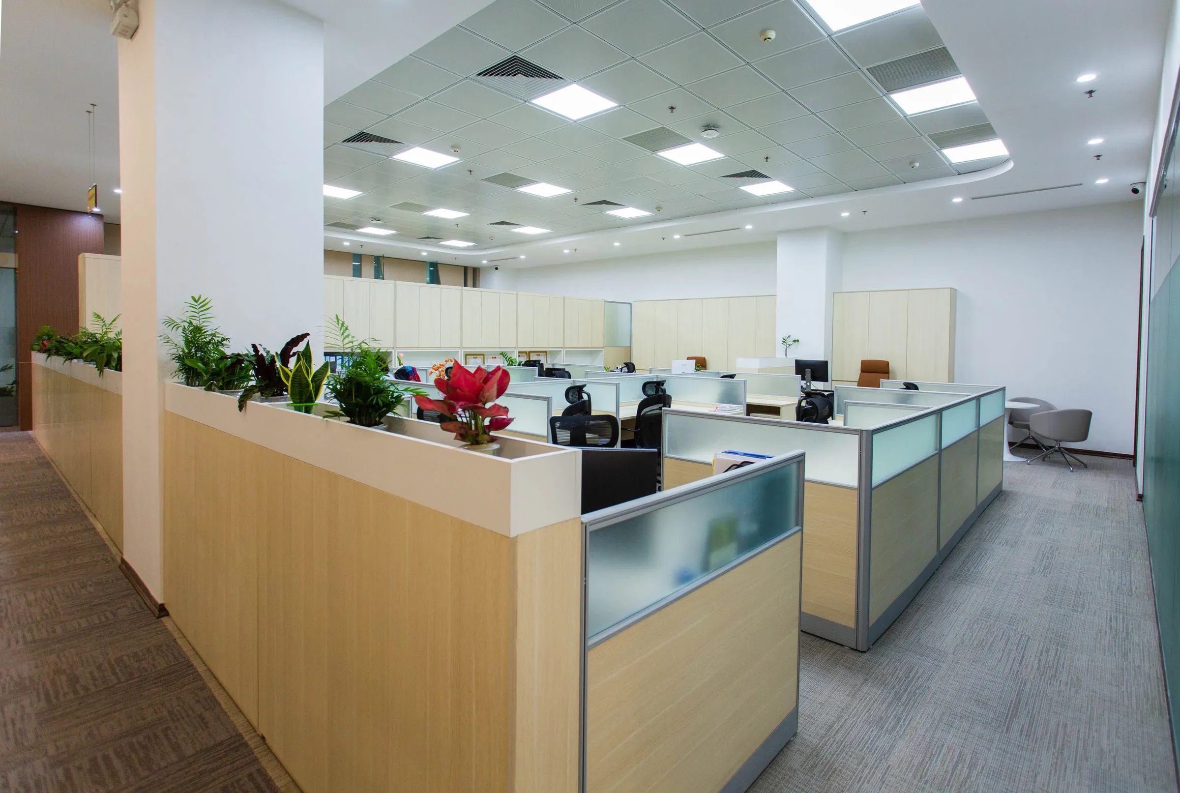 Rows of workstation pods with glass dividers and planters in an open-plan office
